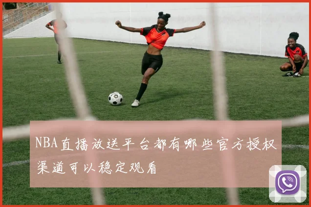NBA直播放送平台都有哪些官方授权渠道可以稳定观看